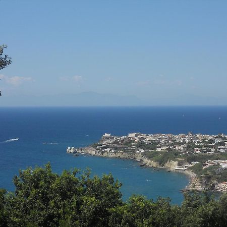 Hotel Sweetposeidon Forio di Ischia Exterior foto